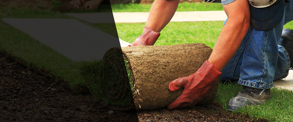 Hazlehurst Landscapers